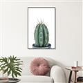 Picture of Cactus     _GroupedProduct_Rectangle_Portrait_Canvas_Framed_