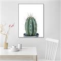 Picture of Cactus     _GroupedProduct_Rectangle_Portrait_Canvas_Framed_
