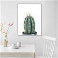 Picture of Cactus     _GroupedProduct_Rectangle_Portrait_Canvas_Framed_