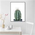 Picture of Cactus     _GroupedProduct_Rectangle_Portrait_Canvas_Framed_