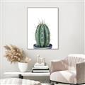Picture of Cactus     _GroupedProduct_Rectangle_Portrait_Canvas_Framed_