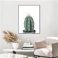 Picture of Cactus     _GroupedProduct_Rectangle_Portrait_Canvas_Framed_