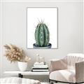 Picture of Cactus     _GroupedProduct_Rectangle_Portrait_Canvas_Framed_
