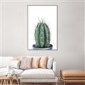 Picture of Cactus     _GroupedProduct_Rectangle_Portrait_Canvas_Framed_