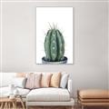 Picture of Cactus     _GroupedProduct_Rectangle_Portrait_Canvas_Framed_