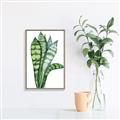 Picture of Snake Leaves _GroupedProduct_Rectangle_Portrait_Canvas_Framed_