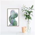 Picture of Prickly Pear Cactus  _GroupedProduct_Rectangle_Portrait_Canvas_Framed_