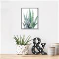 Picture of Zebra Succulent  _GroupedProduct_Rectangle_Portrait_Canvas_Framed_