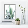 Picture of Zebra Succulent  _GroupedProduct_Rectangle_Portrait_Canvas_Framed_