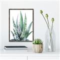 Picture of Zebra Succulent  _GroupedProduct_Rectangle_Portrait_Canvas_Framed_