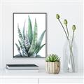 Picture of Zebra Succulent  _GroupedProduct_Rectangle_Portrait_Canvas_Framed_