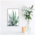 Picture of Zebra Succulent  _GroupedProduct_Rectangle_Portrait_Canvas_Framed_