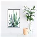 Picture of Zebra Succulent  _GroupedProduct_Rectangle_Portrait_Canvas_Framed_