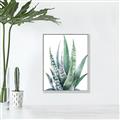 Picture of Zebra Succulent  _GroupedProduct_Rectangle_Portrait_Canvas_Framed_