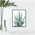 Picture of Zebra Succulent  _GroupedProduct_Rectangle_Portrait_Canvas_Framed_