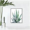 Picture of Zebra Succulent  _GroupedProduct_Rectangle_Portrait_Canvas_Framed_