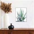Picture of Zebra Succulent  _GroupedProduct_Rectangle_Portrait_Canvas_Framed_