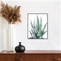 Picture of Zebra Succulent  _GroupedProduct_Rectangle_Portrait_Canvas_Framed_