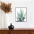 Picture of Zebra Succulent  _GroupedProduct_Rectangle_Portrait_Canvas_Framed_