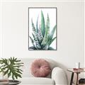 Picture of Zebra Succulent  _GroupedProduct_Rectangle_Portrait_Canvas_Framed_