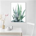 Picture of Zebra Succulent  _GroupedProduct_Rectangle_Portrait_Canvas_Framed_