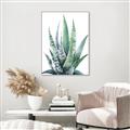 Picture of Zebra Succulent  _GroupedProduct_Rectangle_Portrait_Canvas_Framed_