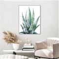 Picture of Zebra Succulent  _GroupedProduct_Rectangle_Portrait_Canvas_Framed_