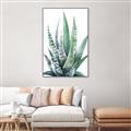 Picture of Zebra Succulent  _GroupedProduct_Rectangle_Portrait_Canvas_Framed_