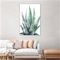 Picture of Zebra Succulent  _GroupedProduct_Rectangle_Portrait_Canvas_Framed_