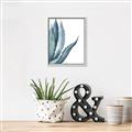 Picture of Succulent  _GroupedProduct_Rectangle_Portrait_Canvas_Framed_