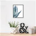 Picture of Succulent  _GroupedProduct_Rectangle_Portrait_Canvas_Framed_