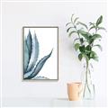 Picture of Succulent  _GroupedProduct_Rectangle_Portrait_Canvas_Framed_
