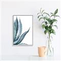 Picture of Succulent  _GroupedProduct_Rectangle_Portrait_Canvas_Framed_
