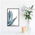 Picture of Succulent  _GroupedProduct_Rectangle_Portrait_Canvas_Framed_