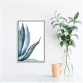 Picture of Succulent  _GroupedProduct_Rectangle_Portrait_Canvas_Framed_