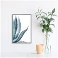 Picture of Succulent  _GroupedProduct_Rectangle_Portrait_Canvas_Framed_