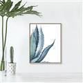 Picture of Succulent  _GroupedProduct_Rectangle_Portrait_Canvas_Framed_