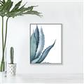 Picture of Succulent  _GroupedProduct_Rectangle_Portrait_Canvas_Framed_
