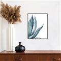 Picture of Succulent  _GroupedProduct_Rectangle_Portrait_Canvas_Framed_