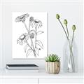 Picture of Daisy Drawing _GroupedProduct_Rectangle_Portrait_Unframed_Print_Only_