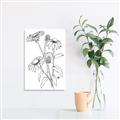 Picture of Daisy Drawing _GroupedProduct_Rectangle_Portrait_Unframed_Print_Only_