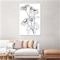 Picture of Daisy Drawing _GroupedProduct_Rectangle_Portrait_Unframed_Print_Only_