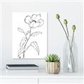 Picture of Poppy Drawing _GroupedProduct_Rectangle_Portrait_Unframed_Print_Only_