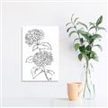 Picture of French Hydrangea Drawing _GroupedProduct_Rectangle_Portrait_Unframed_Print_Only_