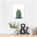 Picture of Cactus     _GroupedProduct_Rectangle_Portrait_Unframed_Print_Only_