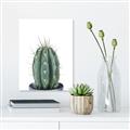 Picture of Cactus     _GroupedProduct_Rectangle_Portrait_Unframed_Print_Only_