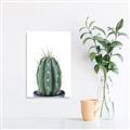 Picture of Cactus     _GroupedProduct_Rectangle_Portrait_Unframed_Print_Only_