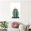 Picture of Cactus     _GroupedProduct_Rectangle_Portrait_Unframed_Print_Only_