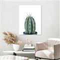 Picture of Cactus     _GroupedProduct_Rectangle_Portrait_Unframed_Print_Only_