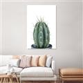 Picture of Cactus     _GroupedProduct_Rectangle_Portrait_Unframed_Print_Only_